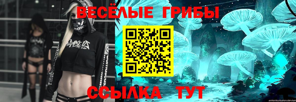 Краснотурьинск  Псилоцибиновые грибы Psilocybine cubensis  Псилоцибиновые грибы MAGIC MUSHROOMS  Вход с VPN 