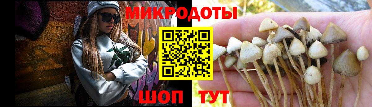 Псилоцибиновые грибы MAGIC MUSHROOMS Краснотурьинск