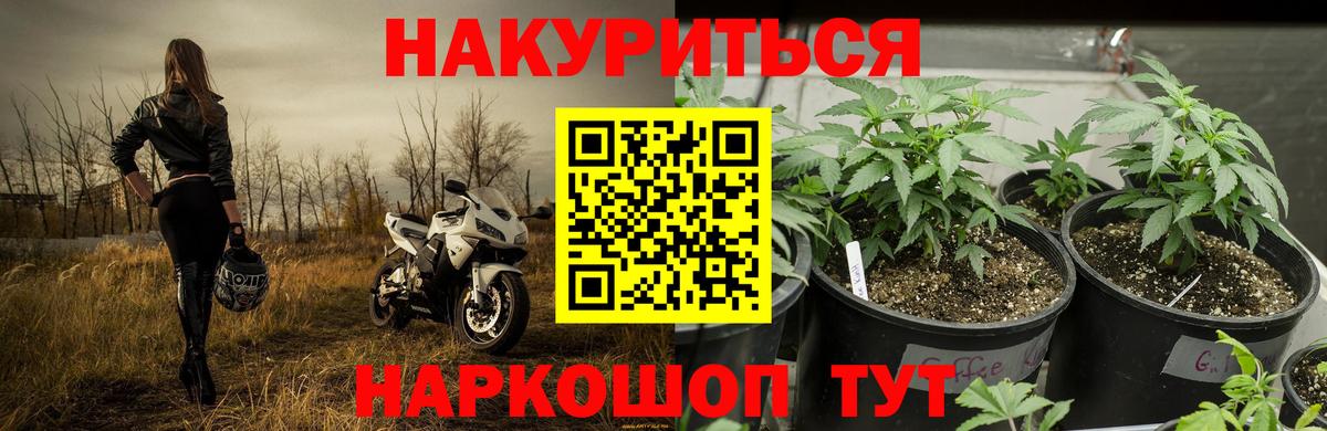 Бошки Шишки OG Kush  Бошки Шишки планчик  Каннабис AK-47  Вход с VPN  Краснотурьинск 